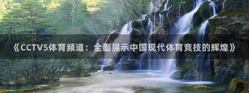 《CCTV5体育频道：全面展示中国现代体育竞技的辉煌》