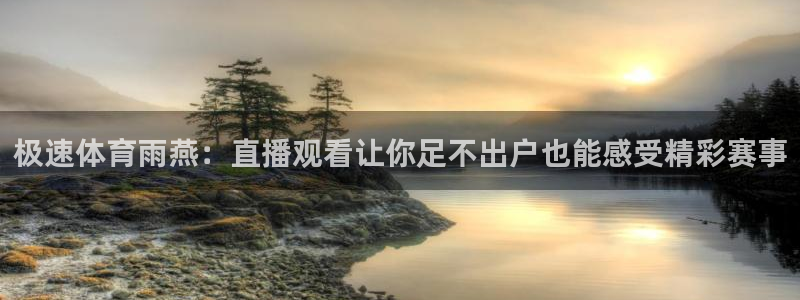 极速体育雨燕：直播观看让你足不出户也能感受精彩赛事