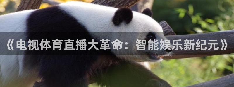 《电视体育直播大革命：智能娱乐新纪元》