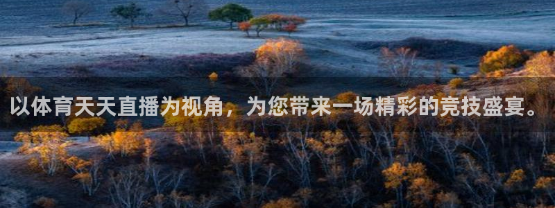 以体育天天直播为视角，为您带来一场精彩的竞技盛宴。