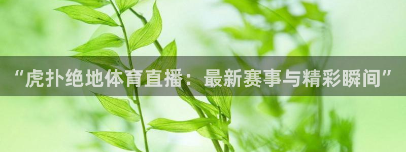 “虎扑绝地体育直播：最新赛事与精彩瞬间”
