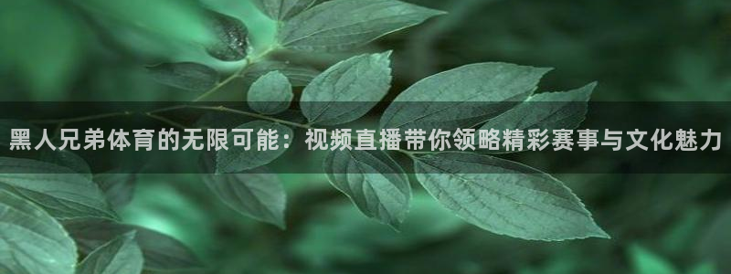 黑人兄弟体育的无限可能：视频直播带你领略精彩赛事与文化魅力