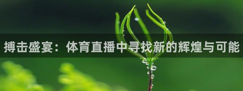 搏击盛宴：体育直播中寻找新的辉煌与可能