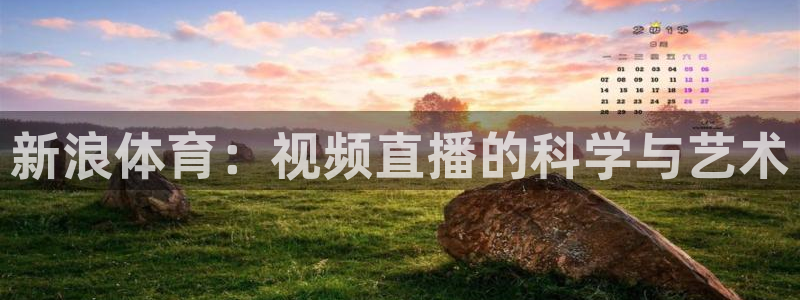 新浪体育：视频直播的科学与艺术