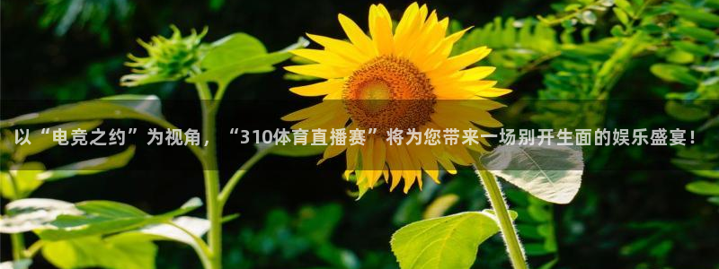 以“电竞之约”为视角，“310体育直播赛”将为您带来一场别开生面的娱乐盛宴！