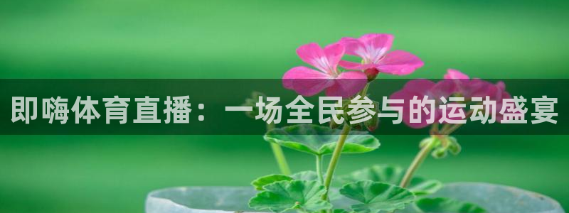 即嗨体育直播：一场全民参与的运动盛宴