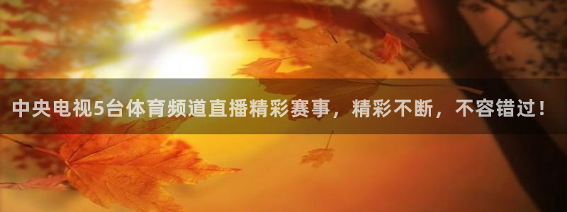 中央电视5台体育频道直播精彩赛事，精彩不断，不容错过！