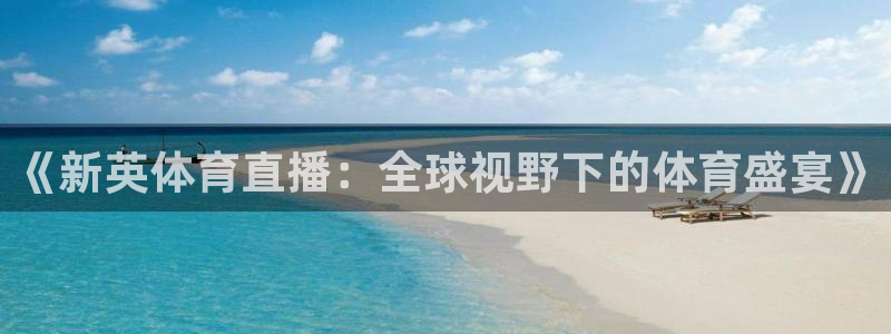 《新英体育直播：全球视野下的体育盛宴》