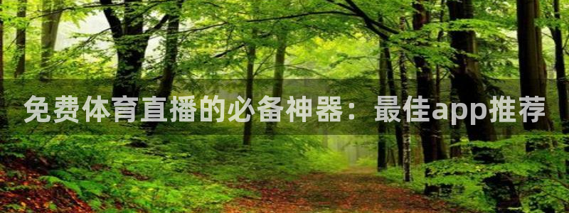 免费体育直播的必备神器：最佳app推荐