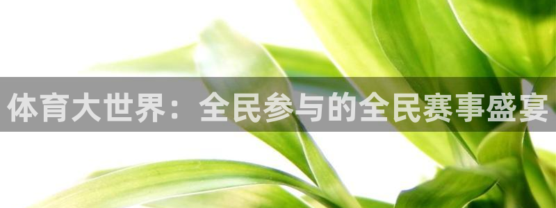体育大世界：全民参与的全民赛事盛宴