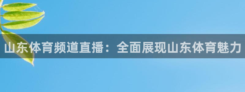 山东体育频道直播：全面展现山东体育魅力