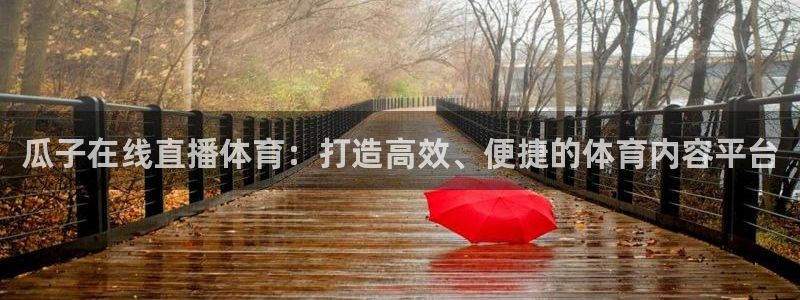 瓜子在线直播体育：打造高效、便捷的体育内容平台