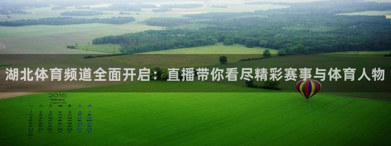 湖北体育频道全面开启：直播带你看尽精彩赛事与体育人物
