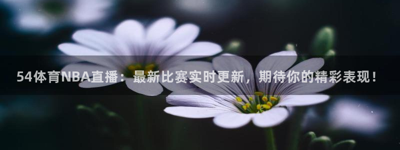 54体育NBA直播：最新比赛实时更新，期待你的精彩表现！