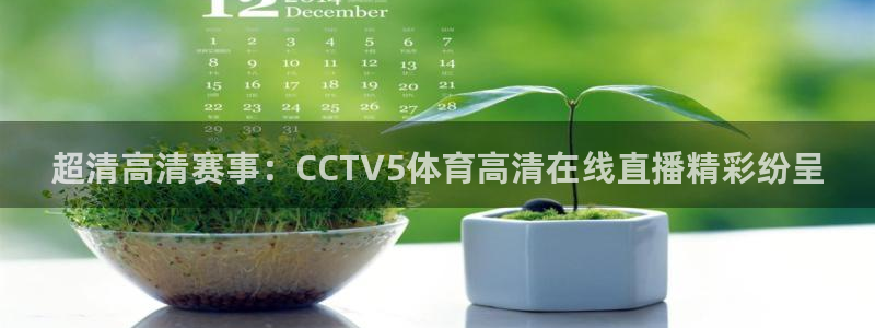 超清高清赛事：CCTV5体育高清在线直播精彩纷呈